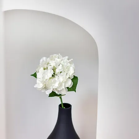 Apartman Le Gambetta - Elegance Et Confort - Vue Sur La Place Stanislas