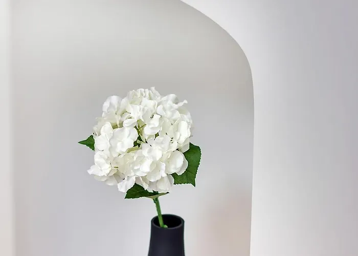 Appartement Le Gambetta - élégance Et Confort - Vue Sur La Place Stanislas