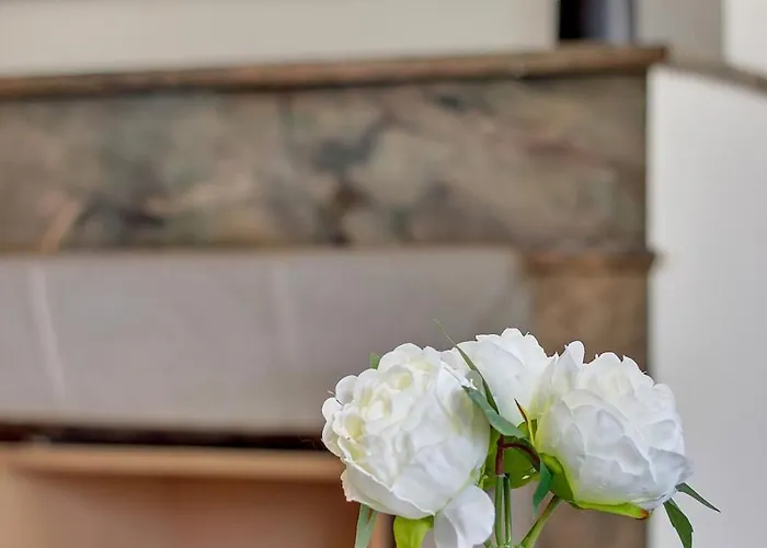 Le Gambetta - élégance Et Confort - Vue Sur La Place Stanislas *